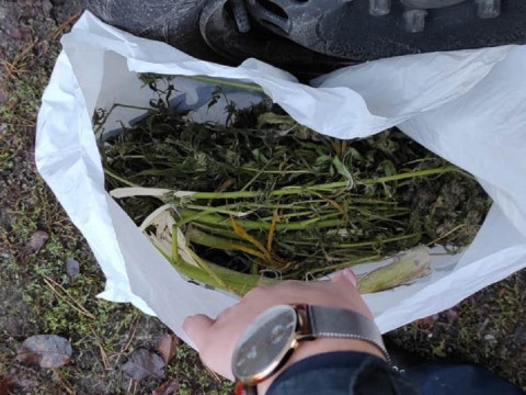 У Васильківському районі в чоловіка знайшли пів кілограма наркотиків