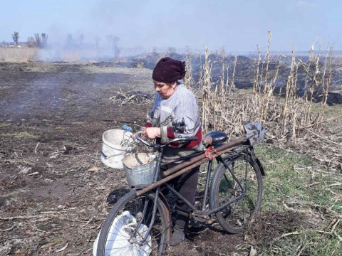 Поблизу Гостомеля жінка спалила поле  (ФОТО, ВІДЕО)