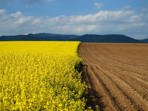 У Фастові провели інвентаризацію земель 