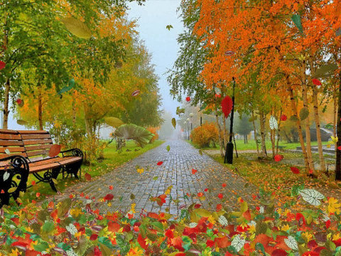 Прогноз погоди для жителів Київщини на 20-те жовтня