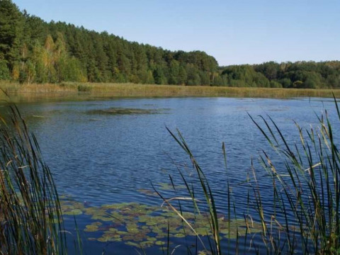 На Київщині планують провести інвентаризацію водних об’єктів