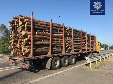 На Київщині водій вантажівки перевозив без документів деревину (ФОТО)