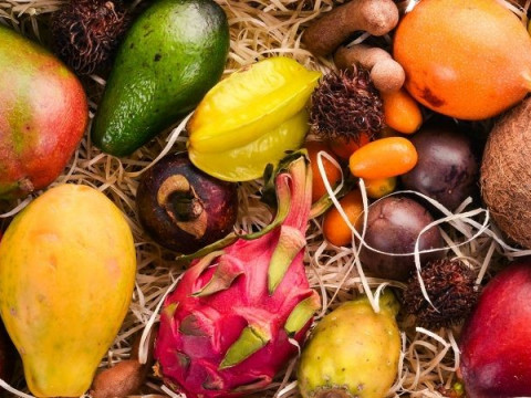 Тропічний рай: на Броварщині вирощують різні сорти екзотичних фруктів (ВІДЕО)