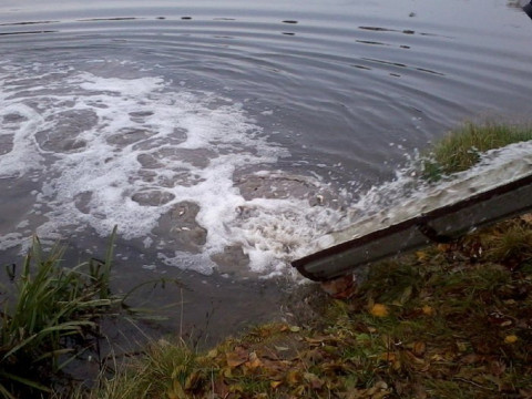 Комунальники та жителі Яготинської громади провели зариблення водойми (ВІДЕО)
