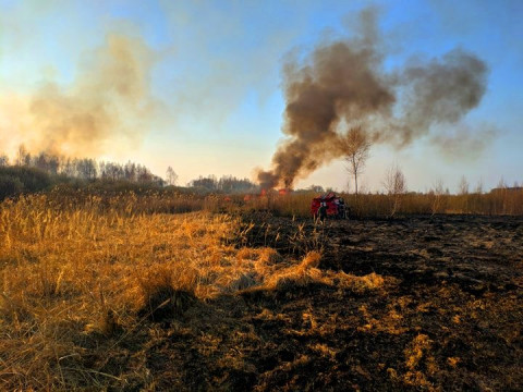 У Бородянському районі рятувальники гасили пожежу майже добу