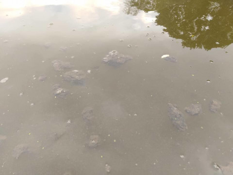 На Білоцерківщині річку Рось "затоплюють" фекаліями (ФОТО, ВІДЕО)