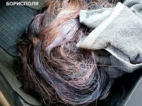 У Борисполі вкрали 160 метрів телефонного кабелю (ФОТО) 