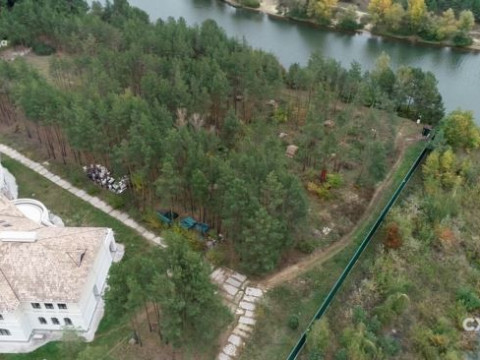 Під Києвом рубають державний ліс 