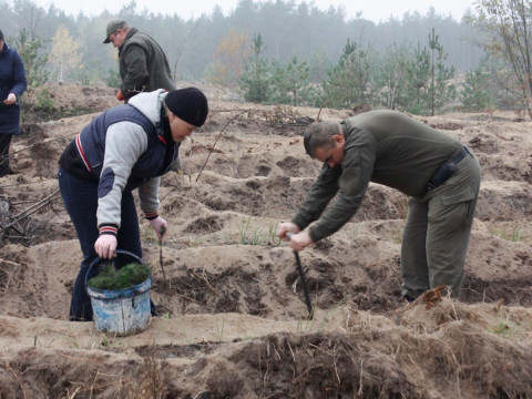 На Переяславщині лісівники рятують постраждалу від вогню ділянку (ФОТО)