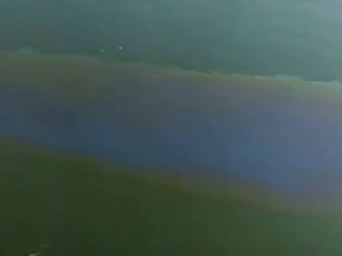 Річку Рось у Білій Церкві забруднюють нафтопродуктами