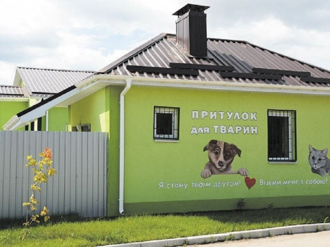 У Борисполі запрацювало підприємство, яке займається стерилізацією безпритульних тварин