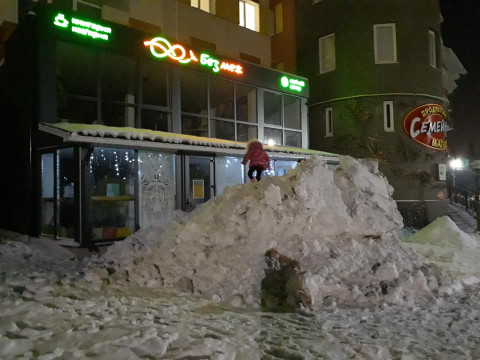 У селі під Києвом книжковий магазин засипали снігом (ФОТО)
