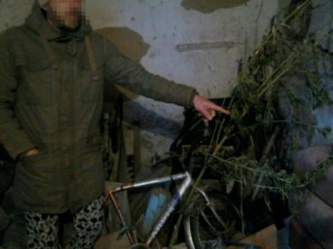 На Київщині у місцевого жителя вилучили коноплю (ФОТО)