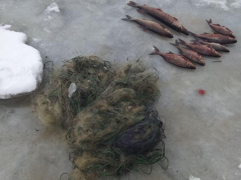 За шість днів з вод Київщини браконьєри витягнули 106 кг риби (ФОТО) 