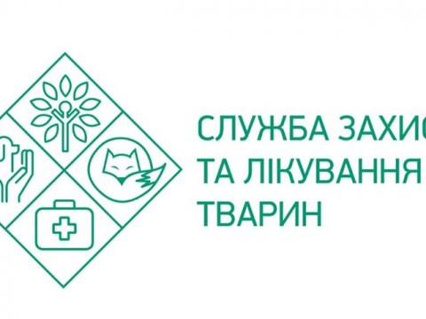 В Ірпені з’явився власний Хатіко 