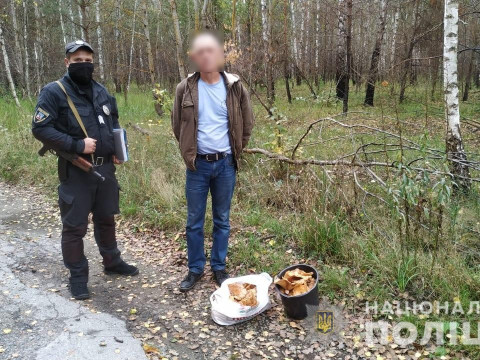 Житель Іванкова назбирав у зоні відчуження понад вісім кілограмів радіоактивних грибів
