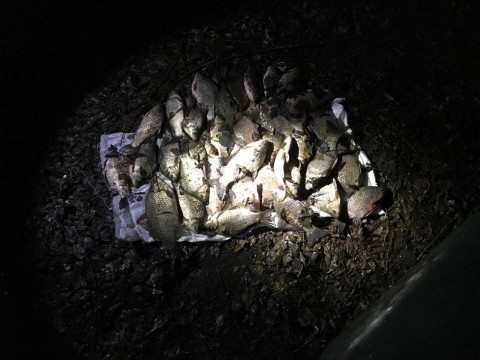  На Київщині працівники рибоохоронного патруля вилучили сім кілометрів сіток (ФОТО)  