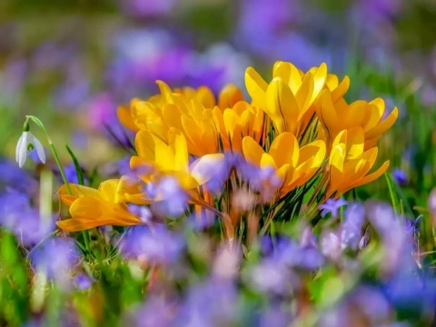 Прогноз погоди для жителів Київщини на 17-те березня