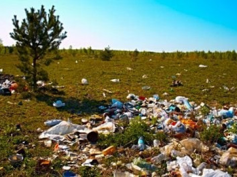 На Броварщині підприємство зобов’язали сплатити 8, 5 млн грн за шкоду довкіллю
