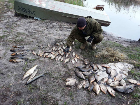 На Київщині за 10 днів браконьєри наловили риби більше ніж на 26 тис грн 