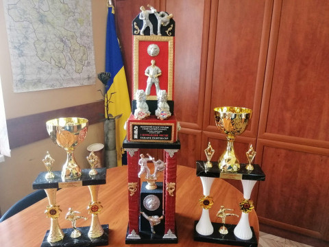 Тетіївські спортсмени перемогли у Всеукраїнському Відкритому Кубку Співдружності по контактному карате (ФОТО)