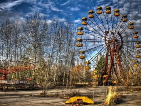 У Чорнобилі врятували лебедину пару (ФОТО)