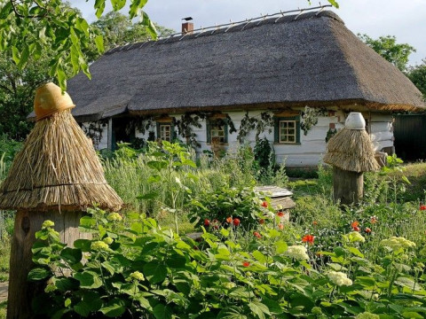 Петрівська громада долучилася до Всеукраїнського культурно-освітнього марафону