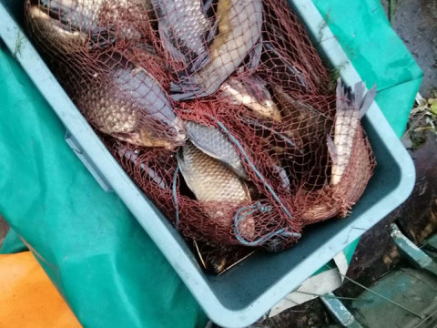 В Обухівському районі спіймали браконьєрів із здобиччю 