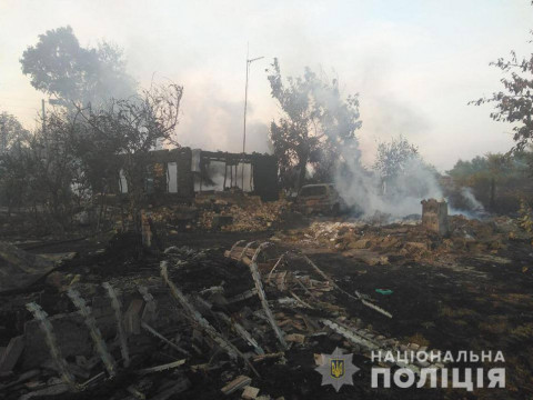 Правоохоронці знайшли винуватця пожежі у Вишгородському районі