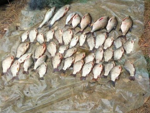 У Переяслав-Хмельницькому районі затримали рибних браконьєрів