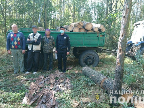 У зоні відчуження затримали незаконних лісорубів (ФОТО)