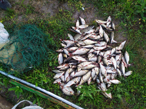 На Миронівщині браконьєр наловив риби на 17 тис грн