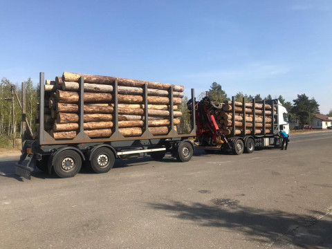 Посадовців "Київоблагроліс" зловили на незаконному продажі деревини