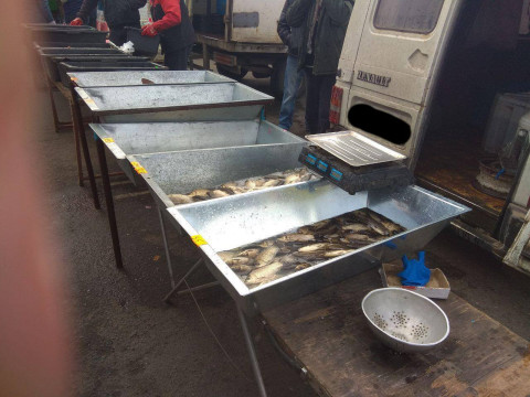 У Миронівці на ринку вилучили 140 кг незаконно виловленої риби 
