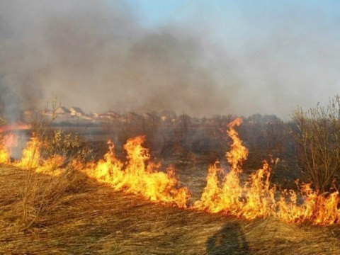 На Київщині двоє молодиків навмисно влаштовували пожежі (ВІДЕО)