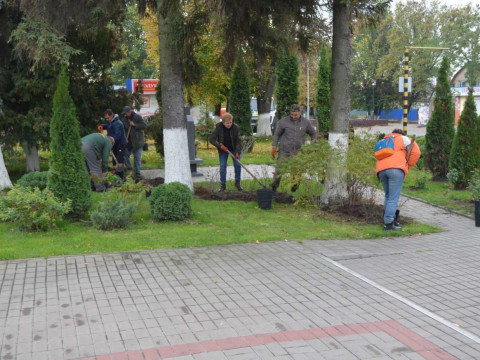 У Гостомелі кожен охочий може залишити "зелений" слід (ФОТО)