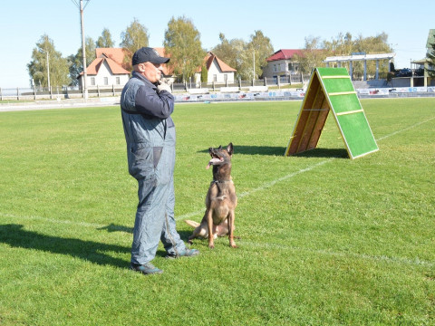 У Березані пройшов чемпіонат України з міжнародної системи дресирування собак
