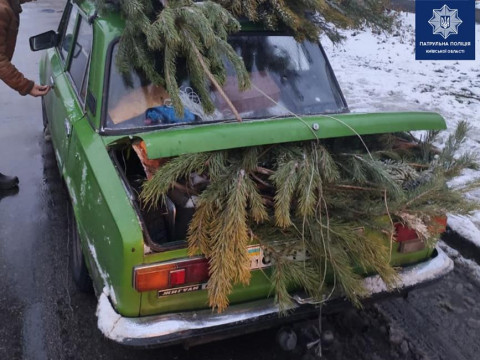 У Білій Церкві затримали чоловіка з незаконно зрубаними ялинками (ФОТО)
