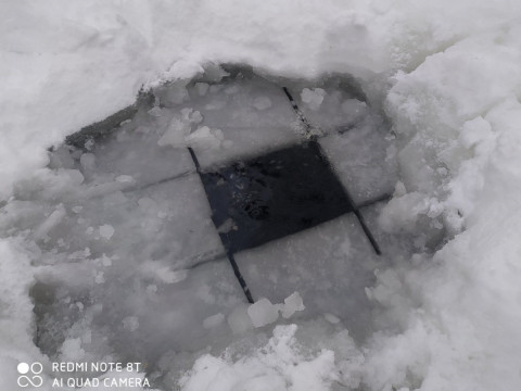 У Броварах рятують рибу від смерті (ФОТО)