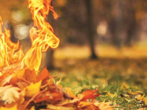 У Київській області проведуть рейди через спалювання листя