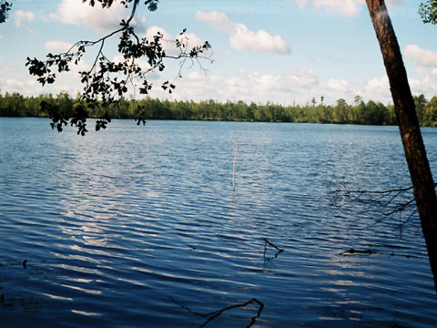 На Обухівщині вкрали землі водного фонду майже на півмільйона грн