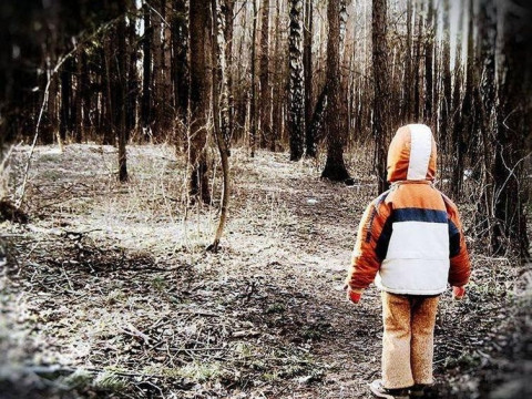 У лісі на Бородянщині загубився 4-річний малюк (ФОТО)