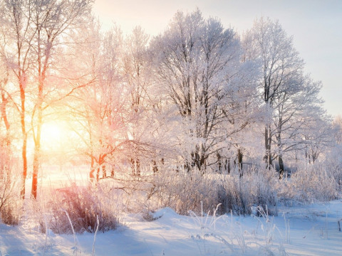 Прогноз погоди для жителів Київщини на 20-те січня