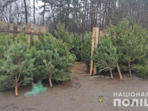 На Обухівщині правоохоронці вилучили незаконно зрубані дерева (ФОТО)