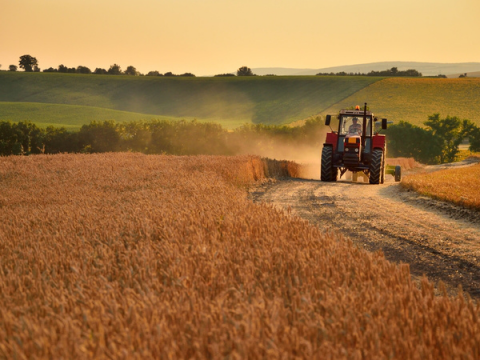 Аграрії Київщини зібрали понад мільйон тонн зернових