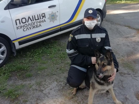 На Київщині поліцейські кінологи шукають дім для врятованої собаки