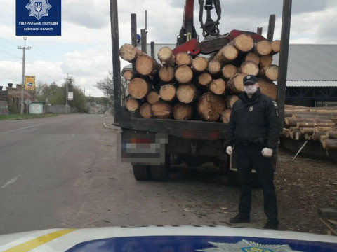 На Київщині затримали вантажівку з незаконним лісом-кругляком