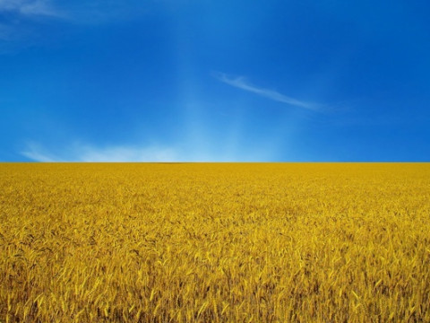 У Білій Церкві до Дня Незалежності проведуть ряд заходів (АФІША)