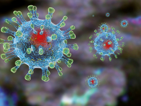 На Київщині за весь період епідемії від коронавірусу померло 1064 людини