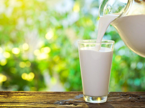 На Обухівщині виготовляють цілюще молоко, яке коштує тисячу грн за літр